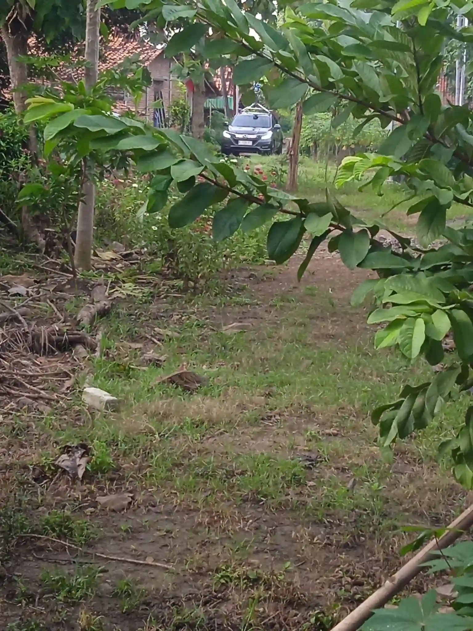 Picture of a Google Car spotted in Wirosari, Grobogan, Central Java, Indonesia on February 17, 2025.