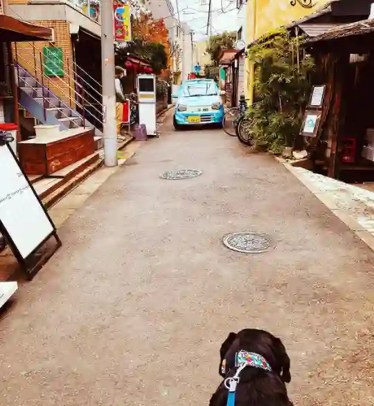 Picture of a Google Car spotted in Shimokitazawa, Setagaya, Tokyo Prefecture, Japan on December 11, 2020.